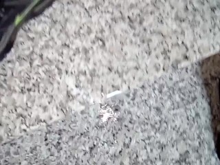 Auf die Treppe der Eigentumswohnung pinkeln